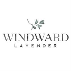 Windward Lavender