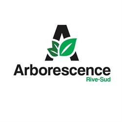 Arborescence Rive Sud