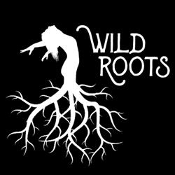 Wild Roots Dance & Yoga
