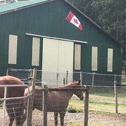 Ragtime Stables