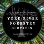 York River Forestry & Environmental Services