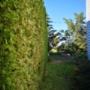 Photo Photo