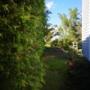 Photo Photo