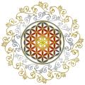 Spiritual Counselling