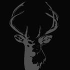 Stag Group