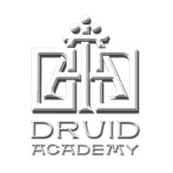 DRUID Academy Irish Dancers