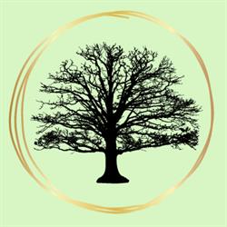 Transcend Wellness Studio by Amanda Dufour, RMT