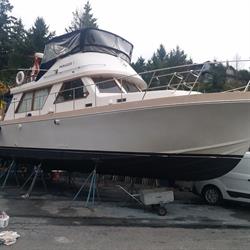 Cyrus Marine Service