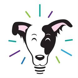 Clever Canines Training