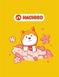 Hachigo