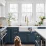 We at Kitchen Tune-Up Mississauga are dog gone sure of this blue kitchen #trend. Call us today at (647) 557-7317 to get started with your very own trendy kitchen! We at Kitchen Tune-Up Mississauga are dog gone sure of this blue kitchen #trend. Call us today at (647) 557-7317 to get started with your very own trendy kitchen!