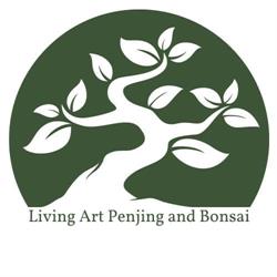 Living Art Penjing and Bonsai