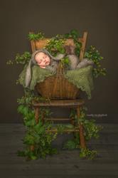 Noelle Mirabella Photography
