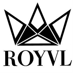 Royvl Imaging Academy
