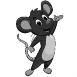 Mouse Poop Rodent Control