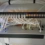 Network Cabinet installation with cabling, Gateway, Network Controller and 16 port POE Switch Network Cabinet installation with cabling, Gateway, Network Controller and 16 port POE Switch