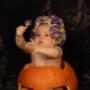 Sitting pumpkin photo shoot in the studio Sitting pumpkin photo shoot in the studio
