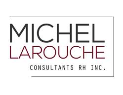 Consultant Rh Michel Larouche