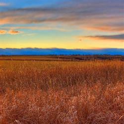 Prairie Sky Developments