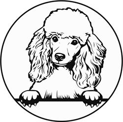 Many Legs Pet Grooming & Supplies Inc.