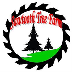 Sawtooth Christmas Tree Farm