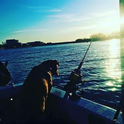 Fraser River Fishermen