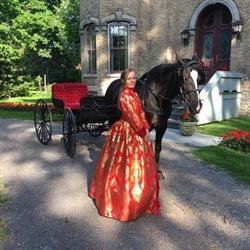 The County Carriage Co.