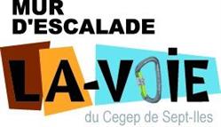 Mur d'escalade La Voie