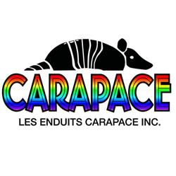 Les enduits carapace