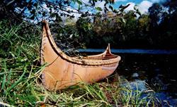 Natural Birch Bark Canoes