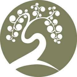 Saule Massage Therapy