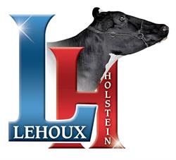 Lehoux Holstein