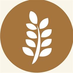 The Source Bulk Foods Green Lane