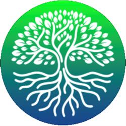 Central Grow City