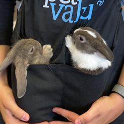 Pet Valu