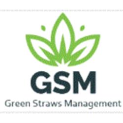 Gsm Paper Straws