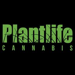 Plantlife Cannabis Jasper