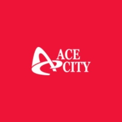 Ace City Inc - Owner Operator Jobs in Toronto GTA