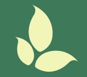 North York Acupuncture & Physiotherapy Clinic