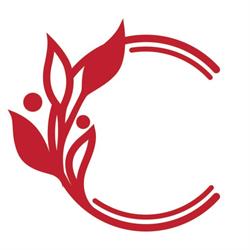 Capital Nail Supply Inc.