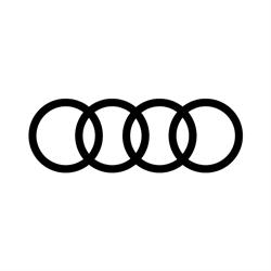 Audi Niagara