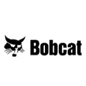 Bobcat of Penticton