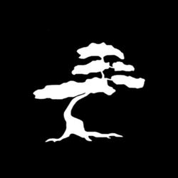 Bonsai Cha