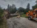Stump-Grinding-Toronto