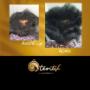 Nous sélectionnons pour vous des marques de soins naturels et biologique pour le corps et les cheveux, des maquillages naturels fait de plante, ainsi que des perruques de qualité supérieure. Découvrez nos produits! Nous sélectionnons pour vous des marques de soins naturels et biologique pour le corps et les cheveux, des maquillages naturels fait de plante, ainsi que des perruques de qualité supérieure. Découvrez nos produits!