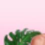 Nous sélectionnons pour vous des marques de soins naturels et biologique pour le corps et les cheveux, des maquillages naturels fait de plante, ainsi que des perruques de qualité supérieure. Découvrez nos produits! Nous sélectionnons pour vous des marques de soins naturels et biologique pour le corps et les cheveux, des maquillages naturels fait de plante, ainsi que des perruques de qualité supérieure. Découvrez nos produits!