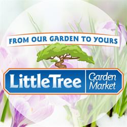 Little Tree Garden Market