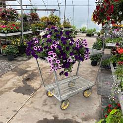 Meadow Green Greenhouses