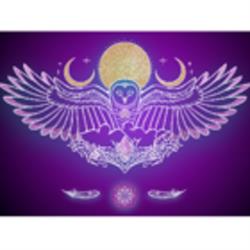 Owl's Nest of Ancient Wisdom