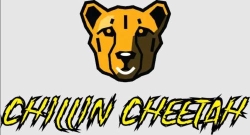 Chillin Cheetah